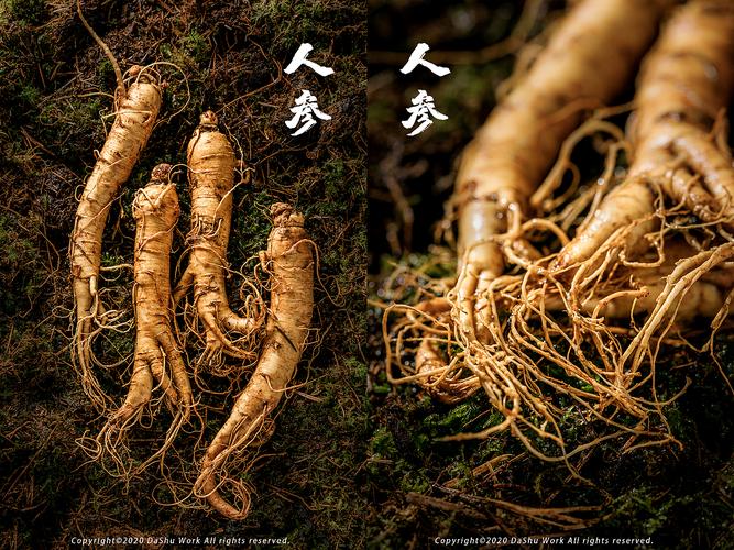 人参、西洋参，到底怎么选？一篇讲透二者的区别与用法